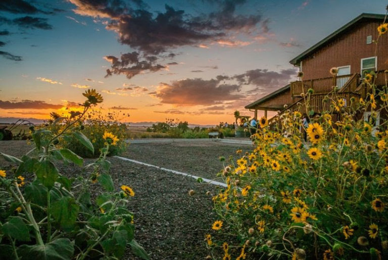 Free Event Space for Nonprofits at Lily Farm Fresh Event Center