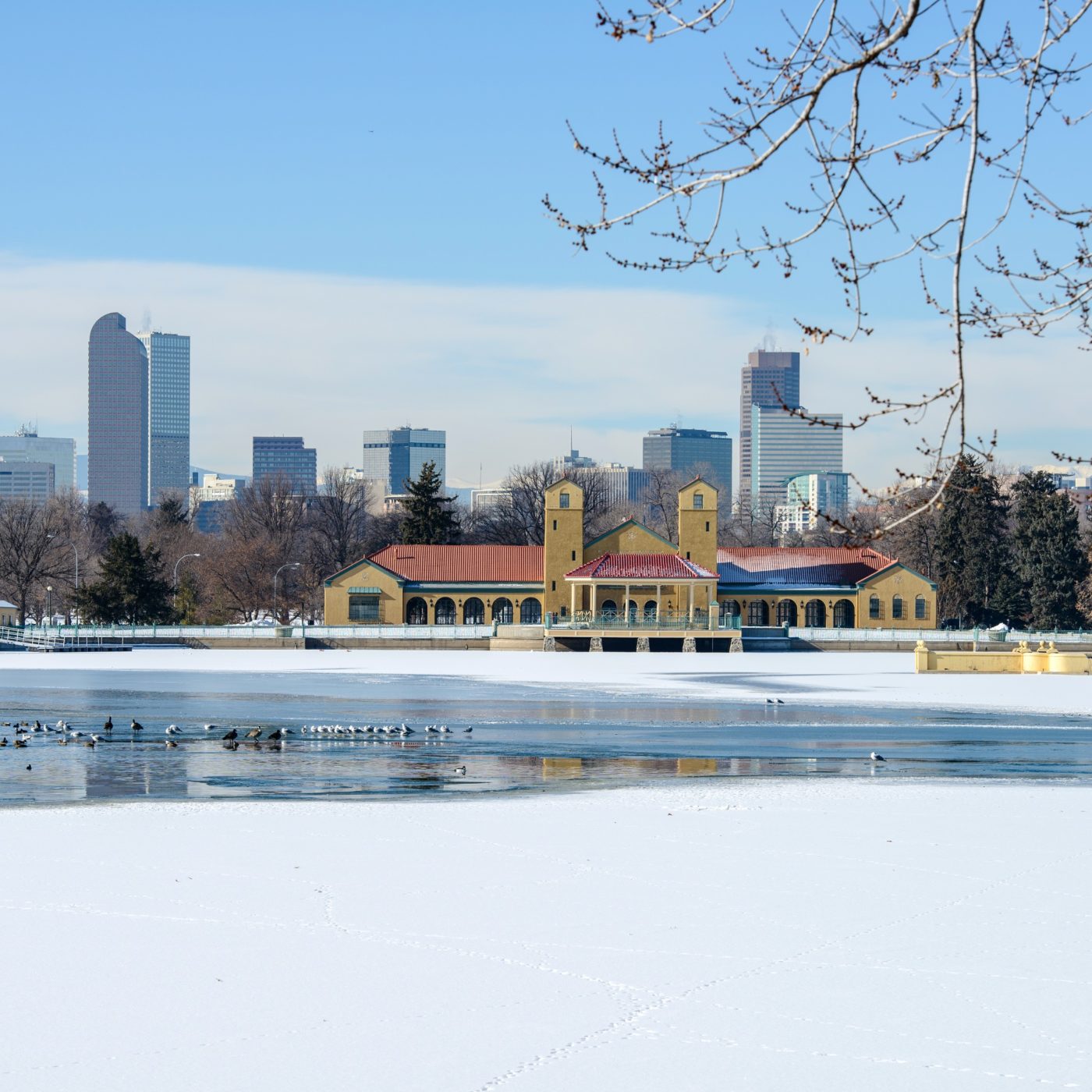 Denver City Park Winter