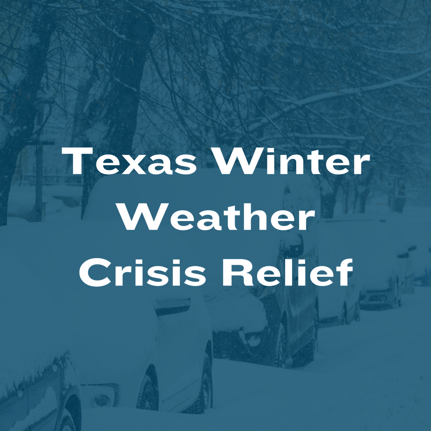 Texas Winter Weather Crisis