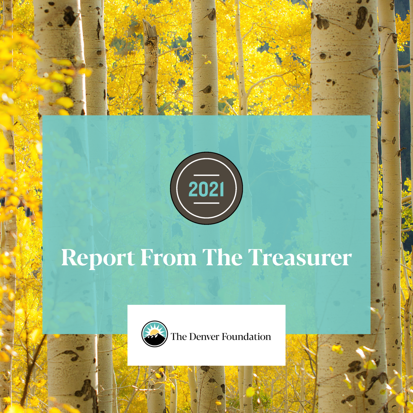 2021 Tdf Treasurer's Report Cover