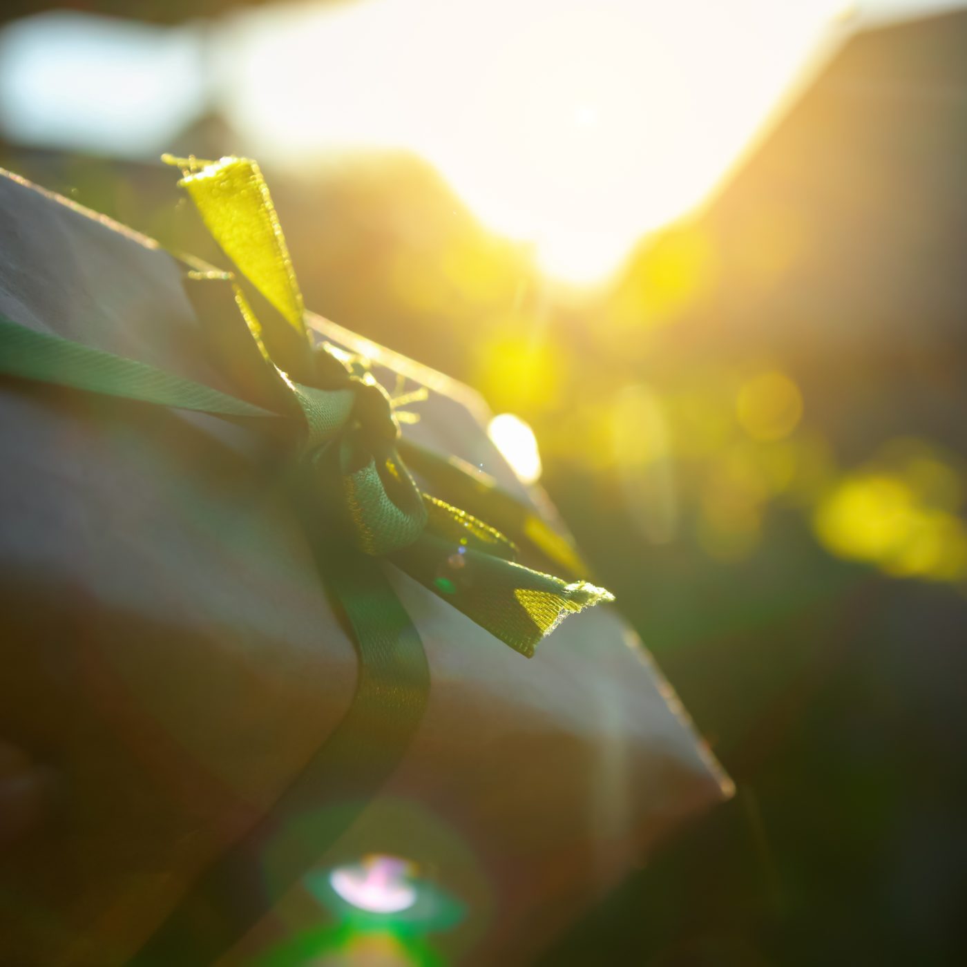 Defocus,sunny,eco,gift.,light,bokeh.,woman,hands,opening,gift