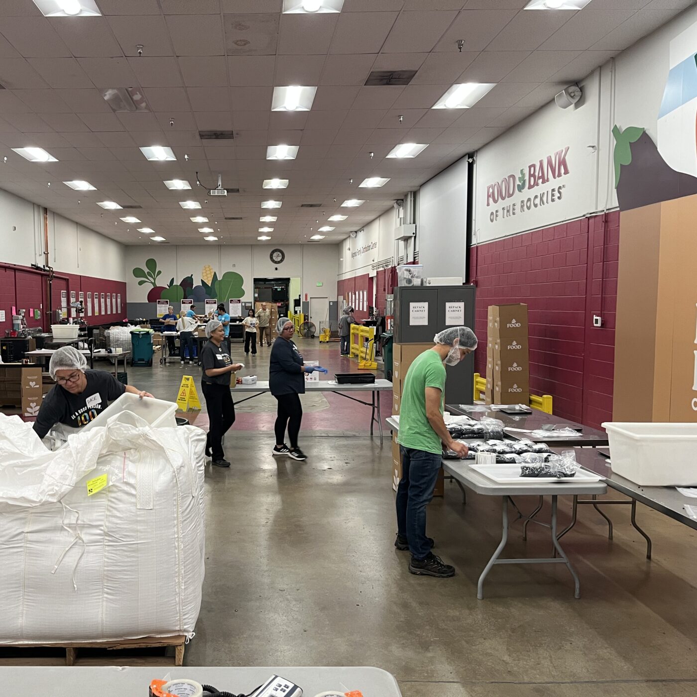 Img 6055 Scaled Aspect Ratio 1 1